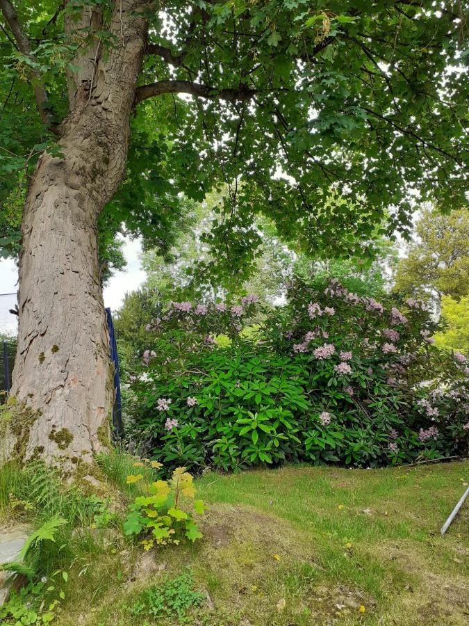 Manoir De L'As De Trefle Bed & Breakfast Isneauville Eksteriør bilde